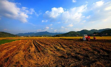 农村集体土地征收本村未成年人可以获得集体土地征收赔偿款吗?