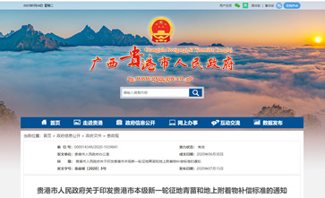 2022طݼǨװװ޲ϸ粹׼2020Ϲʵʩ