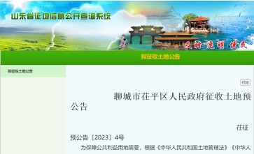 ɽʡĳƽ2023Ǩ棺סլͨ빫񡢻ʩĿǨΧƽ˽ֵŷֵ