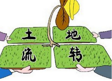 土地转包出租后土地征收拆迁补偿款归谁所有