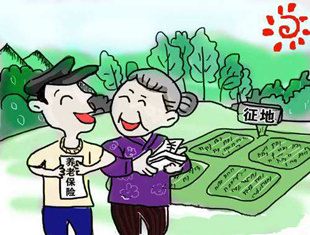 这个征收行为是合法的吗