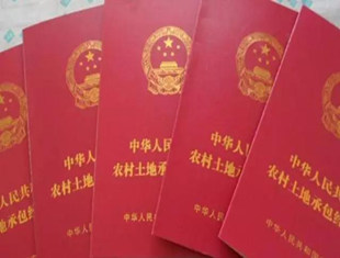 地都快没了,你竟然连这些拆迁补偿常识都不知道?!