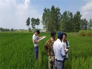 新华网:土地确权步入“啃硬骨头”阶段,有农民“寸土必争”