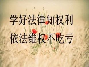 棚户区拆迁补偿应该这么补,别拆了之后才后悔知道!