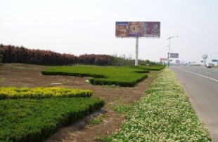 公路绿化占用耕地怎么补偿?补偿多少钱?