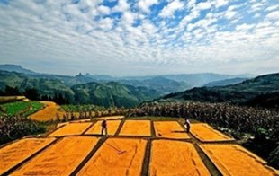国家征收农民住宅用地的具体流程是什么?