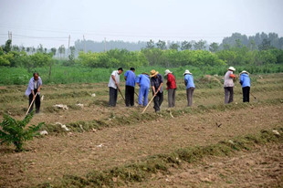 同村人想要平分我家的土地征收补偿款怎么办?