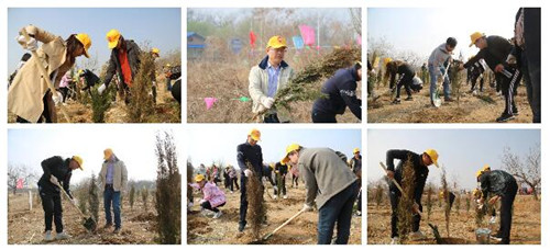 植树催浓春意,播绿造福后人——2019京平拆迁律师义务植树活动