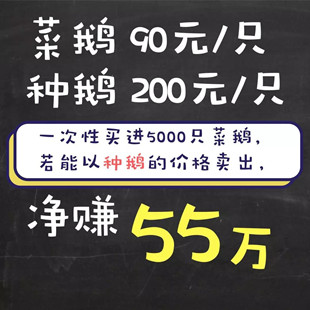 畜牧兽医站长揽“拆迁评估业务”,两年疯狂敛财近300万!
